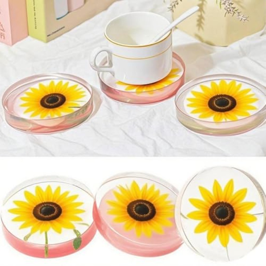 6-Cavity Deep Round Coaster Si - Coaster Mold Round ulasan dan harga