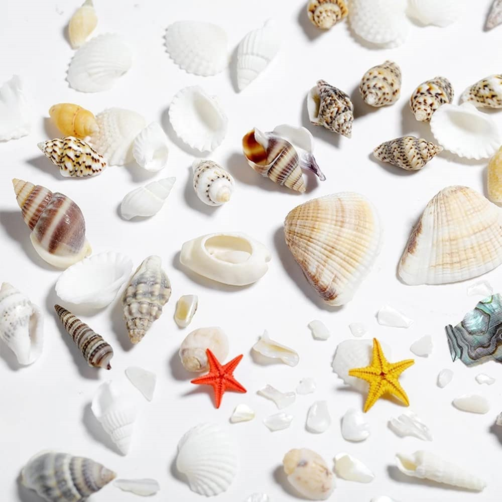 1Box Sea Shells Pearl Resin Fi - Resin Ocean Wave Mold ulasan dan harga